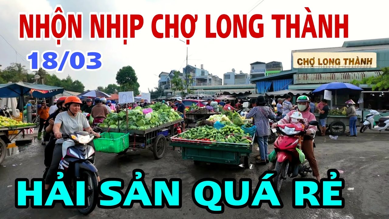 NHỘN NHỊP CHỢ LONG THÀNH HẢI SẢN RẺ. CHỢ ĐẦU MỐI GẦN SÂN BAY QUỐC TẾ LONG THÀNH .