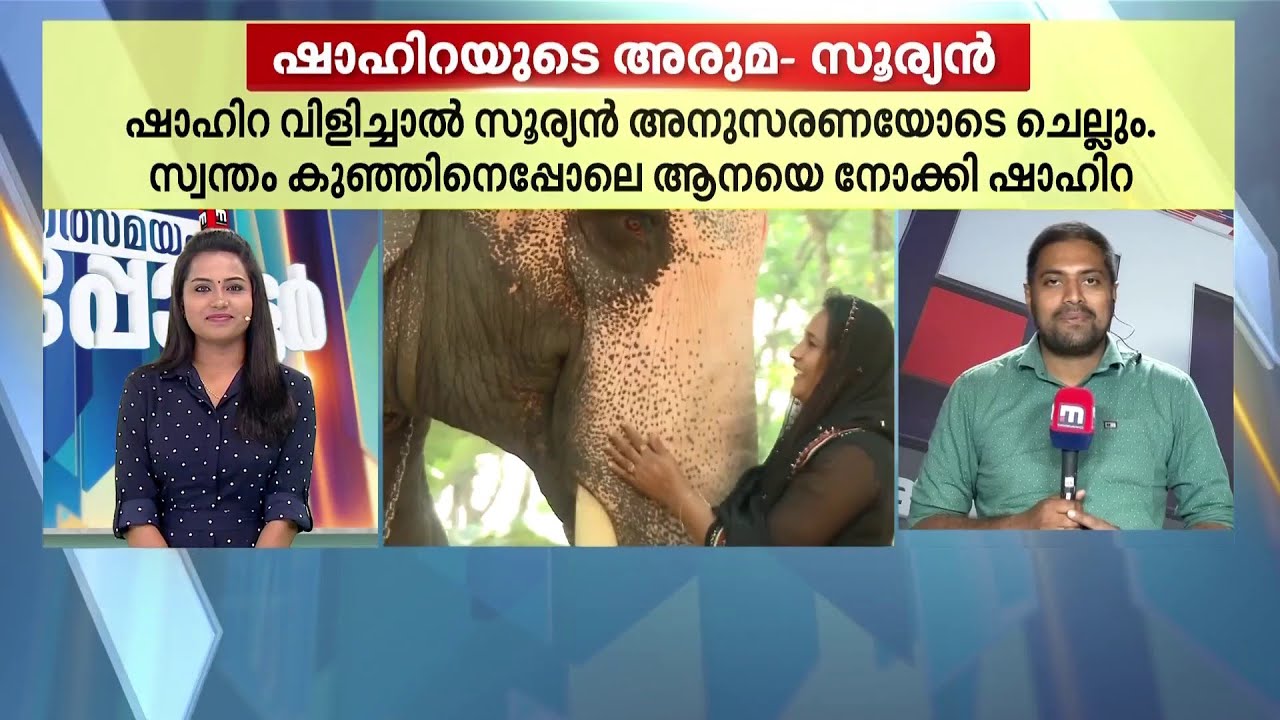 ന്റെ ഷാഹിറ താത്തയ്ക്ക് ഒരു ആനയിണ്ടാർന്ന് | Elephant | Thalsamayam Reporter | Mathrubhumi News