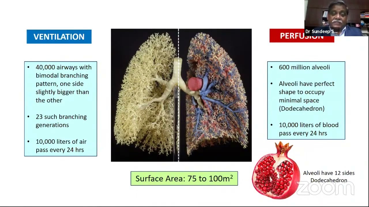 Webinar Recap: Airway Oscillometry in Pulmonary Function Testing
