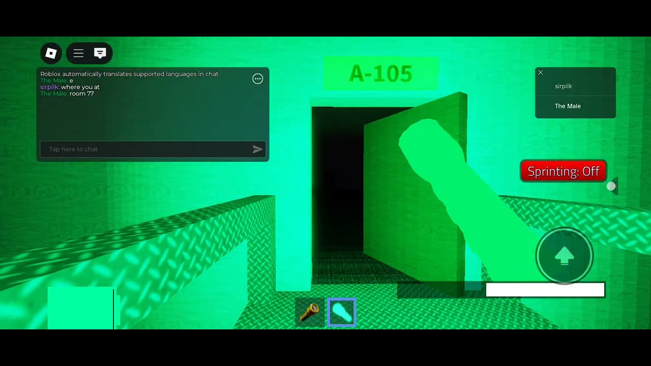 INTERMINABLE ROOMS [oh my goodness,,,,found media]
