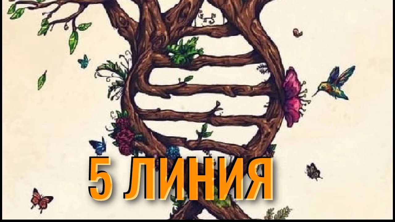 5 линия - слава и признание