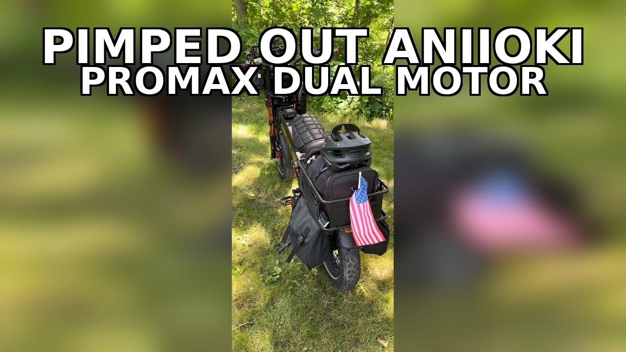 Aniioki Pimped Out ProMax Dual Motor 52v 60ah  