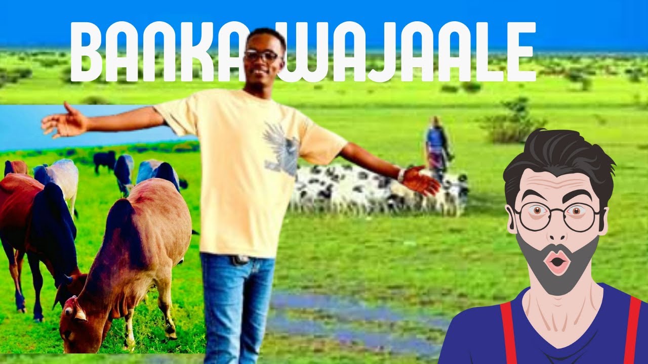 BANKA UGU QURUXDA BADAN SOMALILAND ||BANKA WAJAALE||