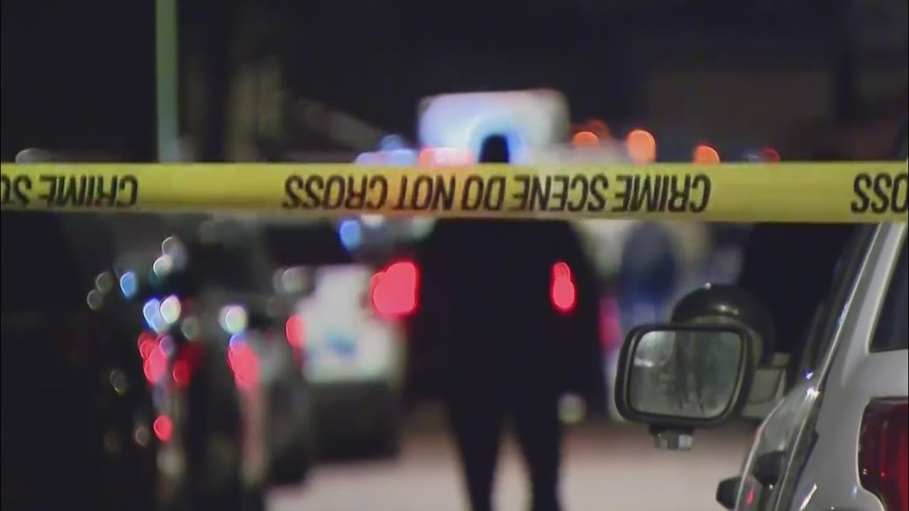 Shots fired at and by police after domestic dispute in West Pullman