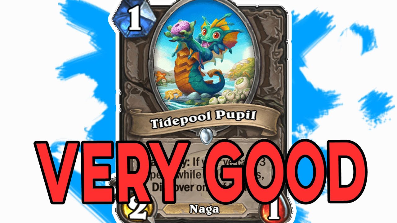 Tidepool Pupil Is Broken - New Sonya Miracle Rogue