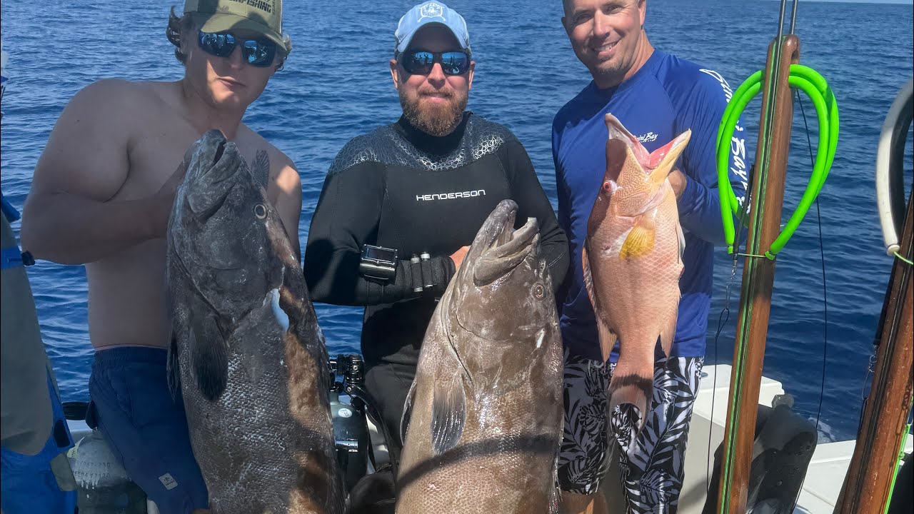 Gag brought me right to the Black Grouper hole