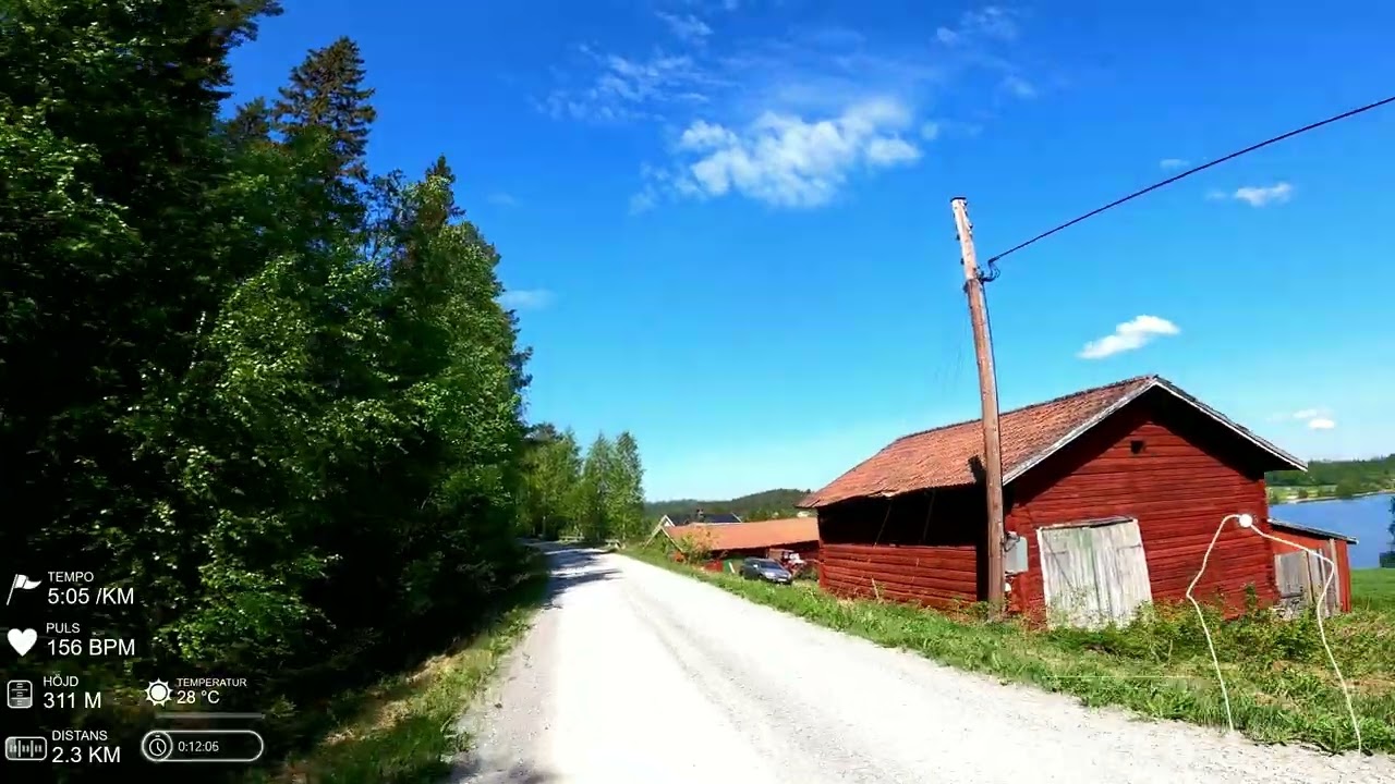 Virtual run #45: (39 min, 7,3 km, 5:18 min/km) Running in Jämtland/Sweden