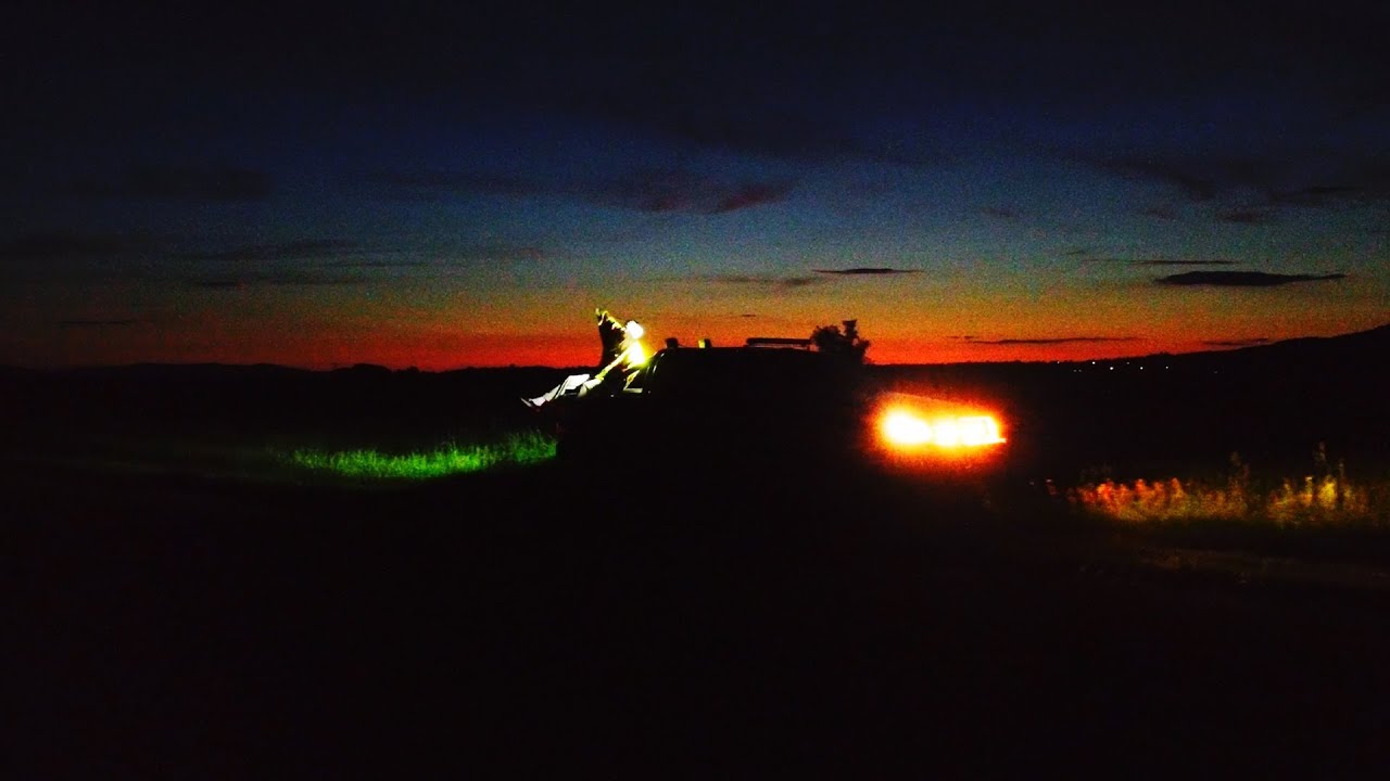 TAOMI - LEITO