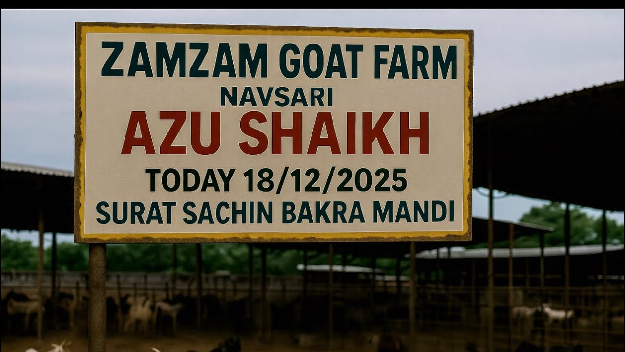 SURAT SACHIN BAKRA MANDI , 18/12/2025 BY:- ZAMZAM GOAT FARM NAVSARI (AZU BHAI) , &Iacute;&Iacute; SURAT MANDI &Iacute;I