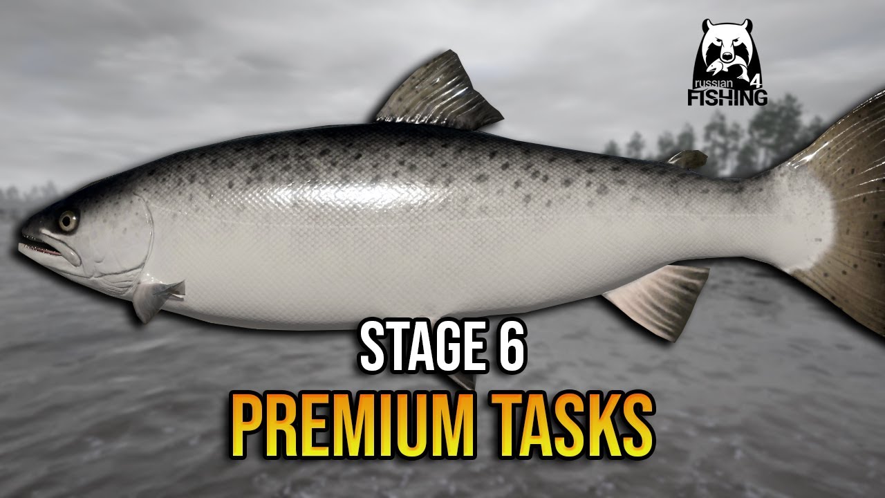 STAGE 6 (Premium) Anniversary 2025 - Russian Fishing 4