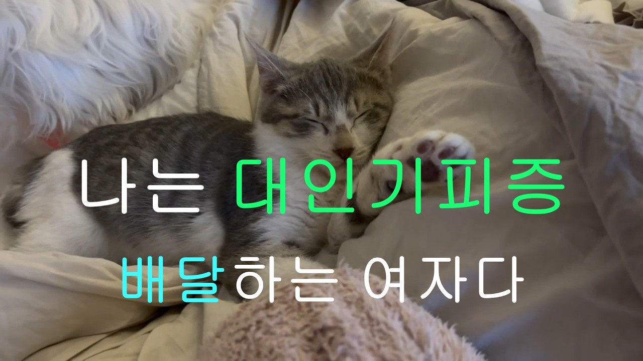 # 06 사회생활 힘든 사람이 일하는 이유 Ι 고양이와 사는 Ι 나의 소중한 존재들