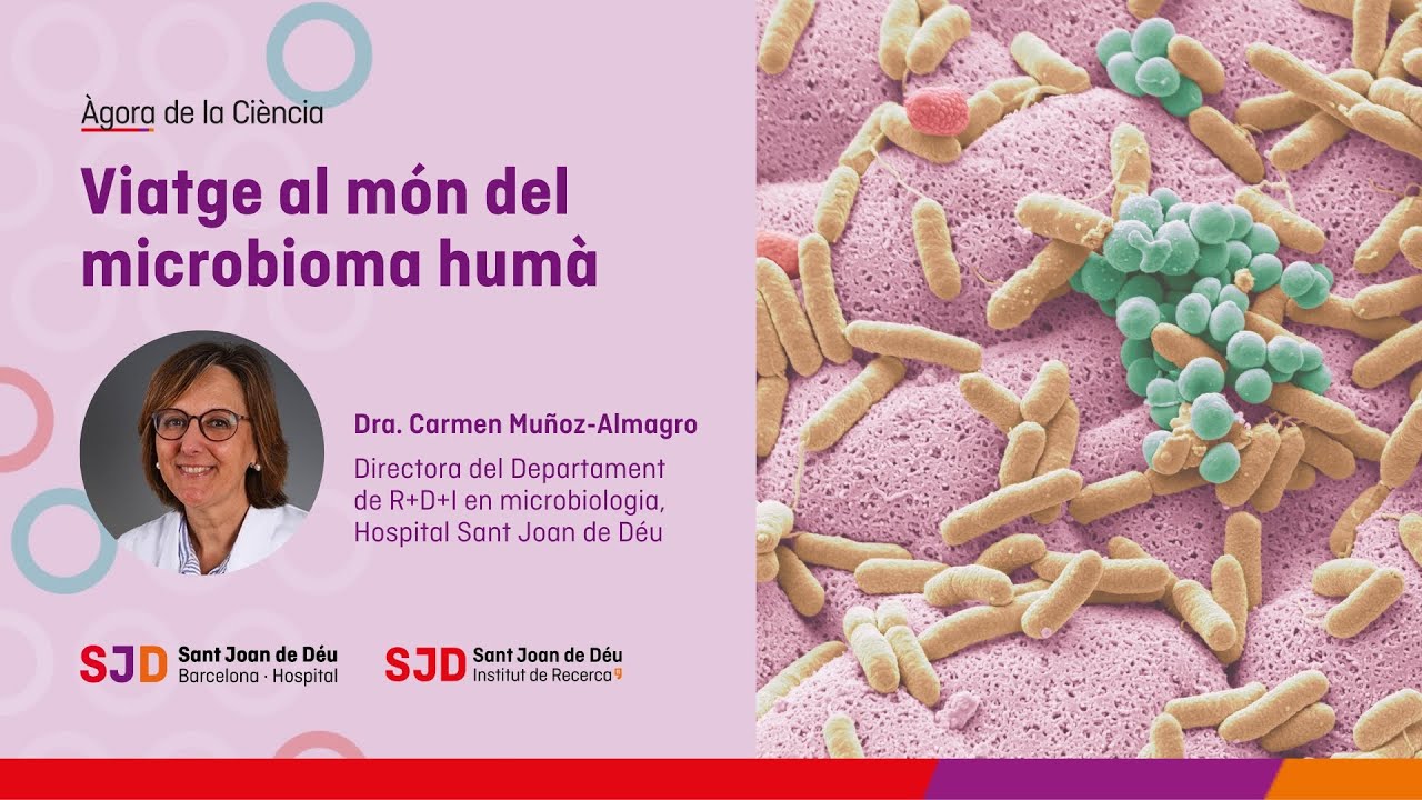 Viaje al mundo del microbioma humano. Una nueva exposición del Ágora de la Ciencia