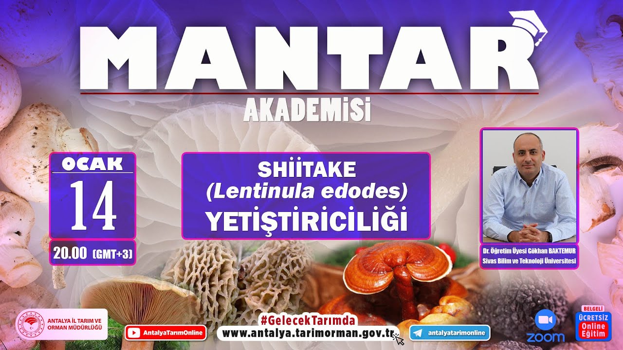 MANTAR AKADEMİSİ-13 SHİİTAKE (Lentinula edodes) YETİŞTİRCİLİĞİ DR. GÖKHAN BAKTEMUR