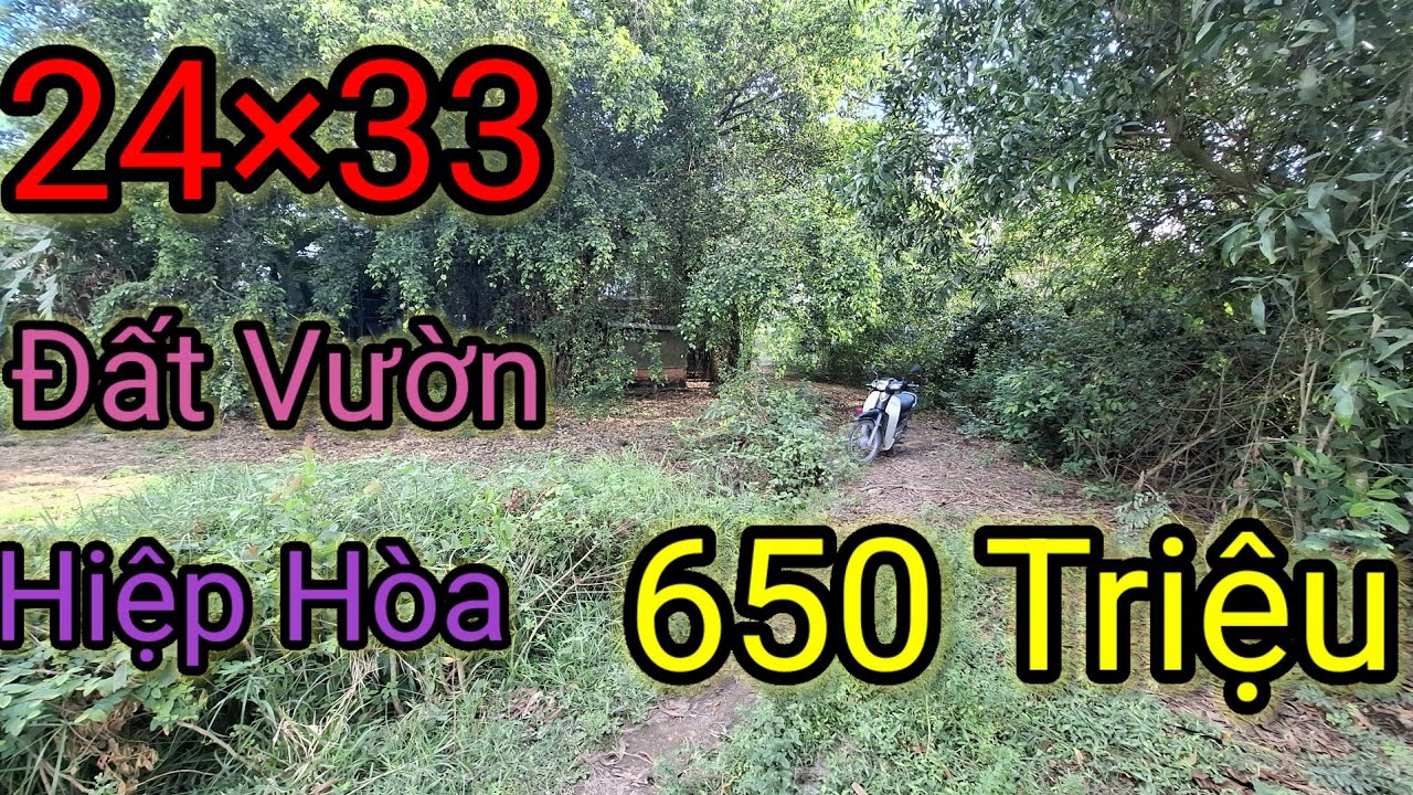 ĐẤT HIỆP HÒA LONG AN_TÂY NINH 24×33=500M ĐẤT VƯỜN GiÁ 650 TRIỆU KHU DÂN CƯ HIỆN HỮU