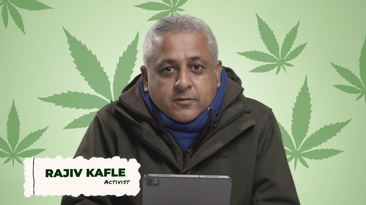 Rajiv Kafle Answers Your Questions About Weed | Yeti Yap