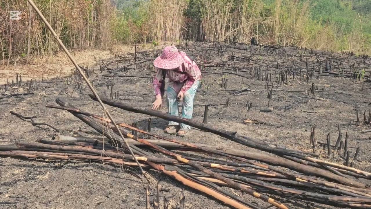 Mus khaws taws tau rauv thiab pab niam ntxawm hli nkawv them teb 04/03/2026