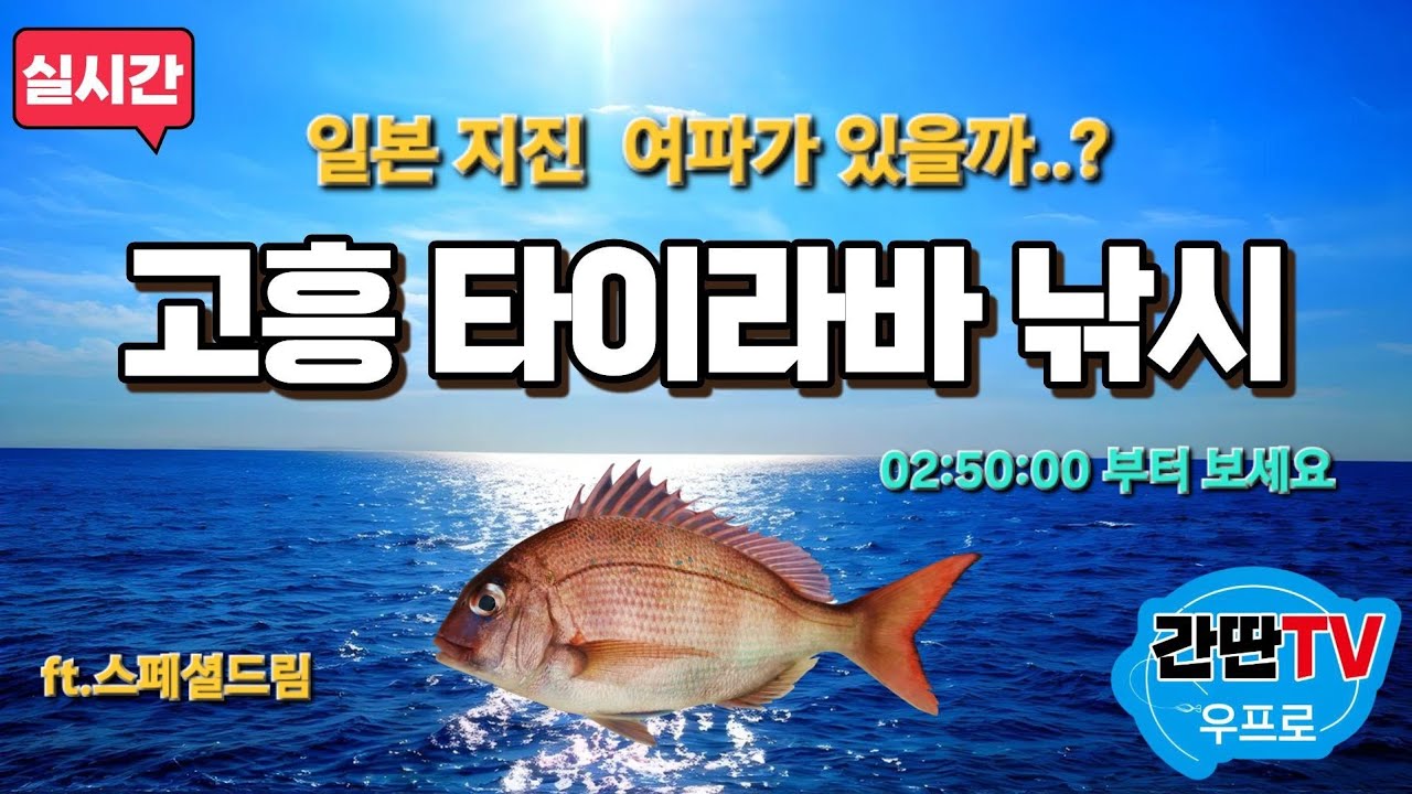 여서도 거문도권 참돔 타이라바 낚시(ft.스페셜드림)