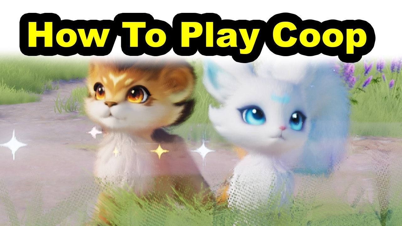 How To Play Coop - Aniimo