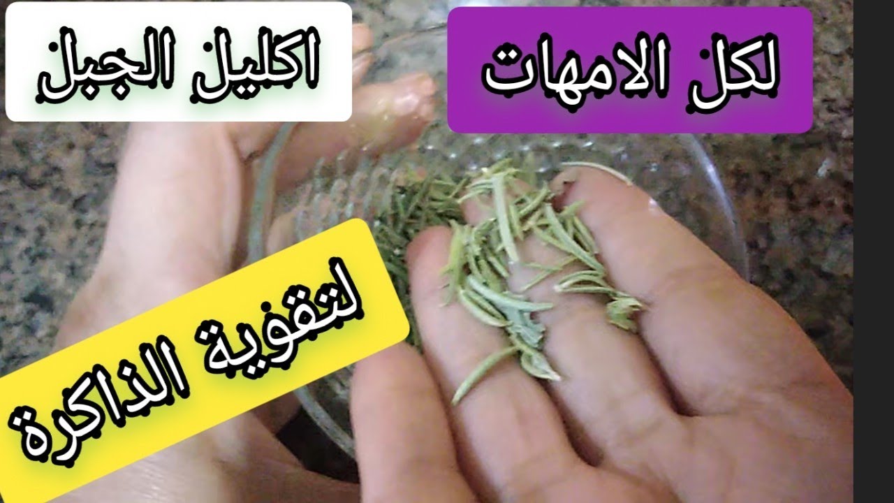 اكليل الجبل لتقوية الذاكرة عند الطفل