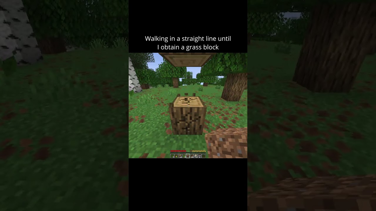 Walking in a straight line until I obtain a grass block