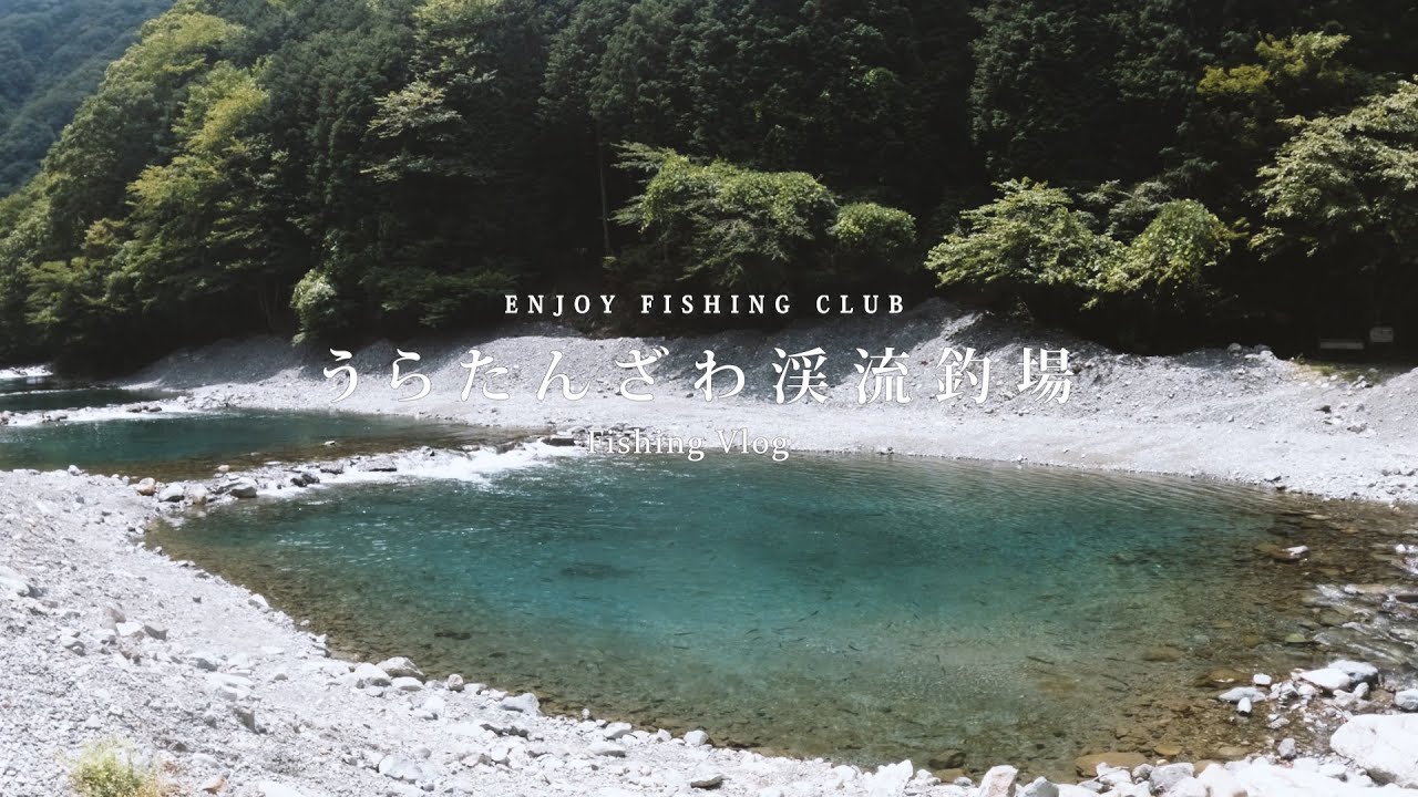 【うらたんざわ渓流釣場】道志川に清流を注ぐ神の川の最上流部 | 夏でも爆釣 | 綺麗な水と川の音に癒される【Vlog】#釣り #vlog #fishing #菅釣り #アウトドア #エリアトラウト