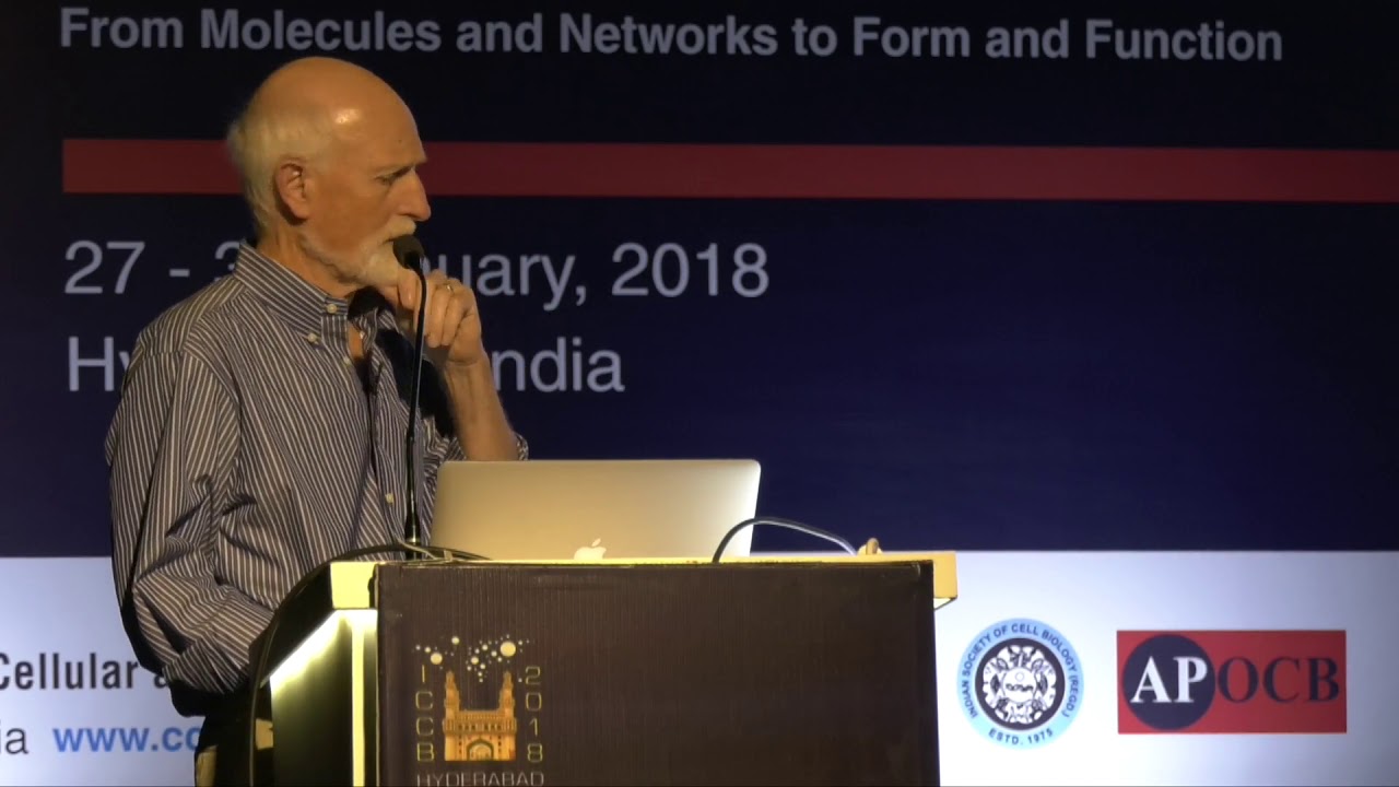 Surface rigidity detection and cancer cells - Michael Sheetz, ICCB 2018