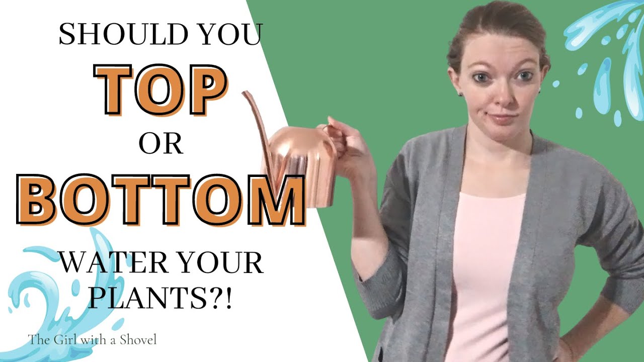 WHEN & HOW to Water Plants from the Bottom (& when NOT to Bottom Water your Plants!)