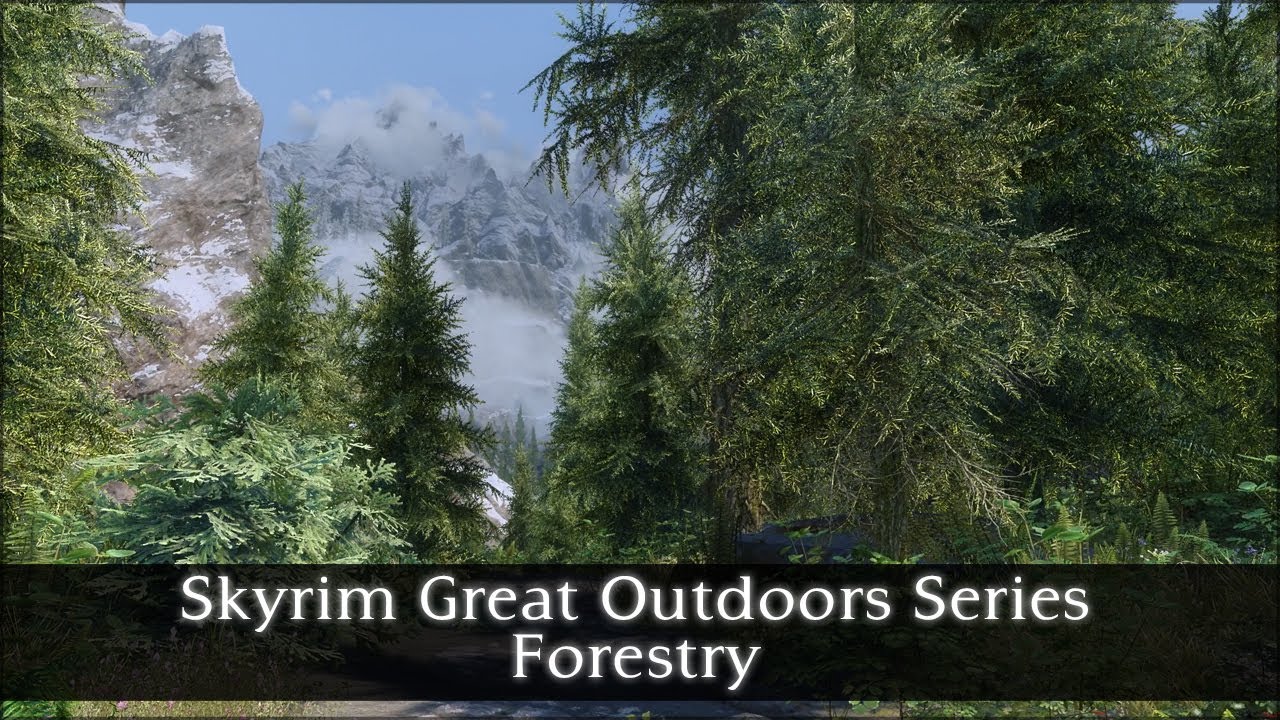 Skyrim Great Outdoors Series - Forestry
