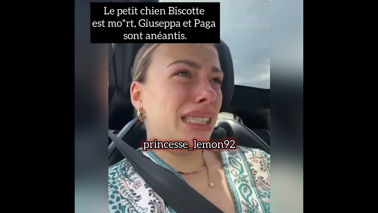 Le petit chien biscotte est mort, Giuseppa et Paga sont anéantis