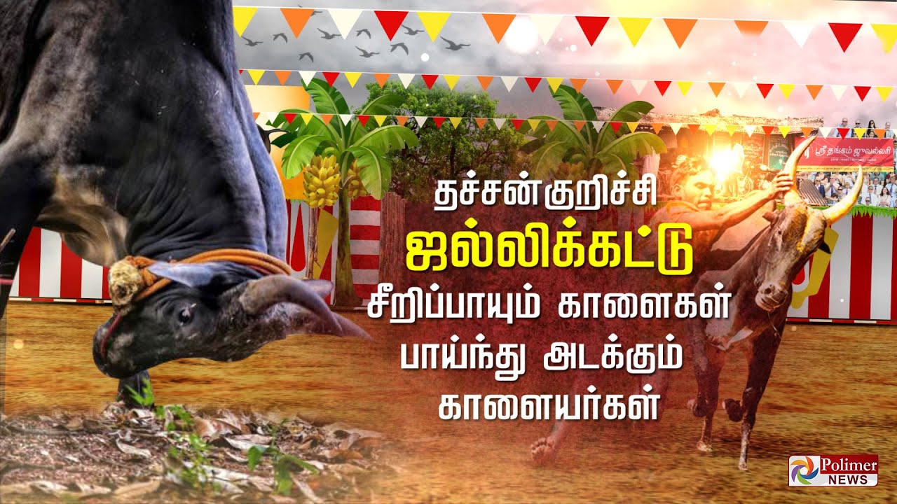 சீறிப் பாயும் காளைகள்.. அடக்கிப் பார்க்கும் காளையர்கள்..! Jallikattu 2022 | Pudukkottai Jallikattu |