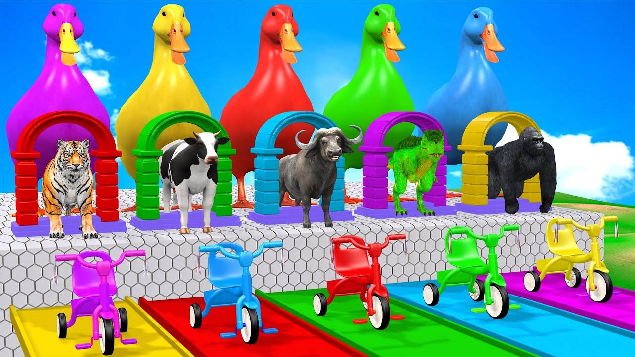 Long Slide Game With Cow Elephant Gorilla Hippopotamus Tiger 3d Animal Game Funny 3d Animals