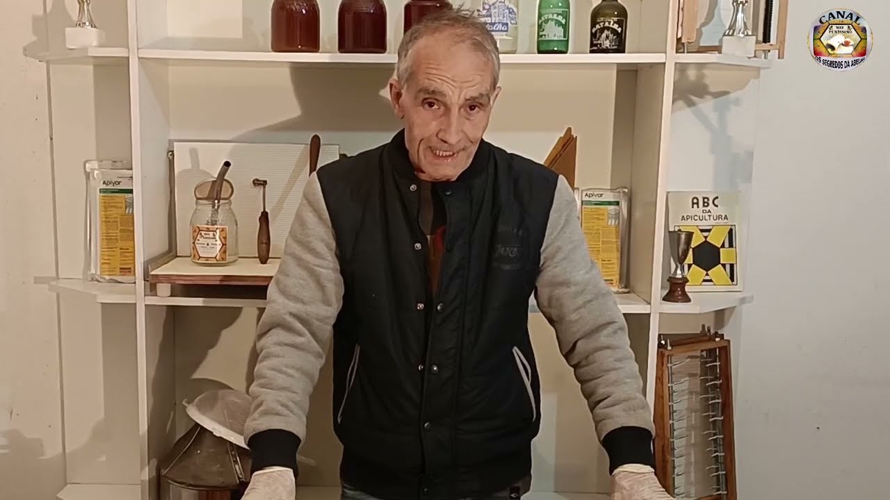VESPA ASIATICA Sabe como Fazer uma Min harpa  👍