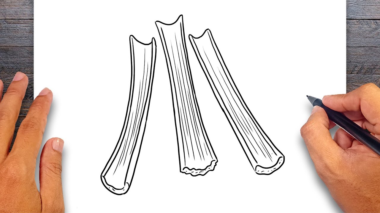How to draw Celery Sticks