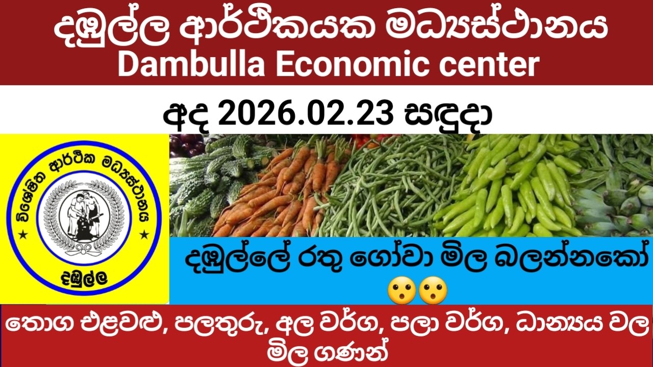 අද දඹුල්ලේ එළවළු මිලට මොකද උනේ 😮 2026.02.23 සඳුදා එළවළු පලතුරු තොග මිල Dambulla Market wholesale