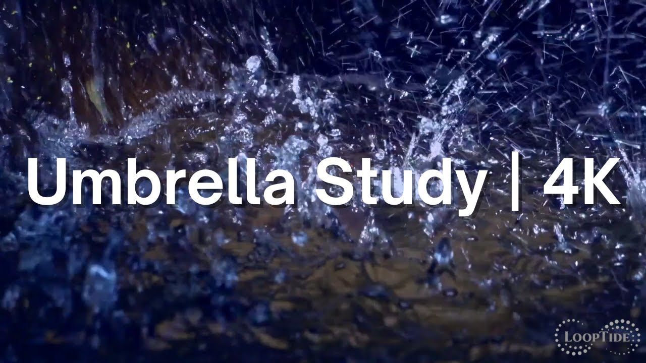 The Umbrella Study | 1 Hour Minimal Rain Composition in Cinematic 4K