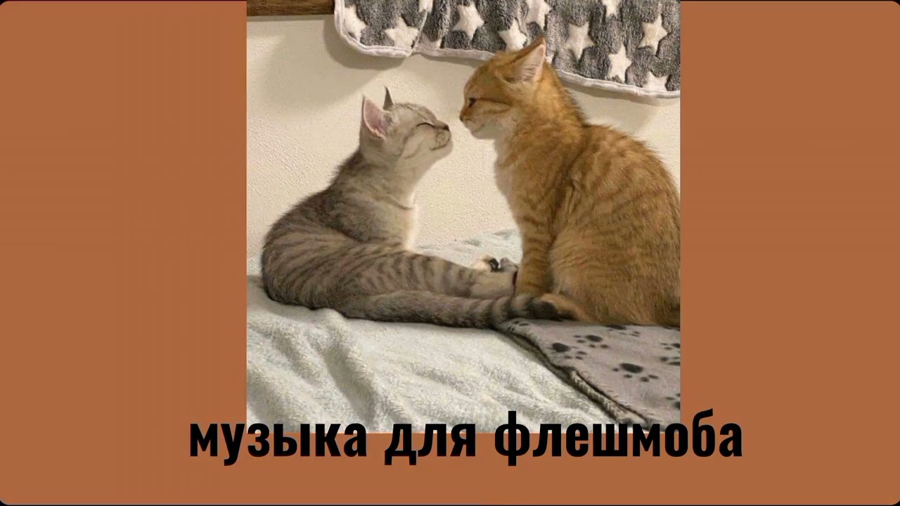 музыка для флешмоба 💞