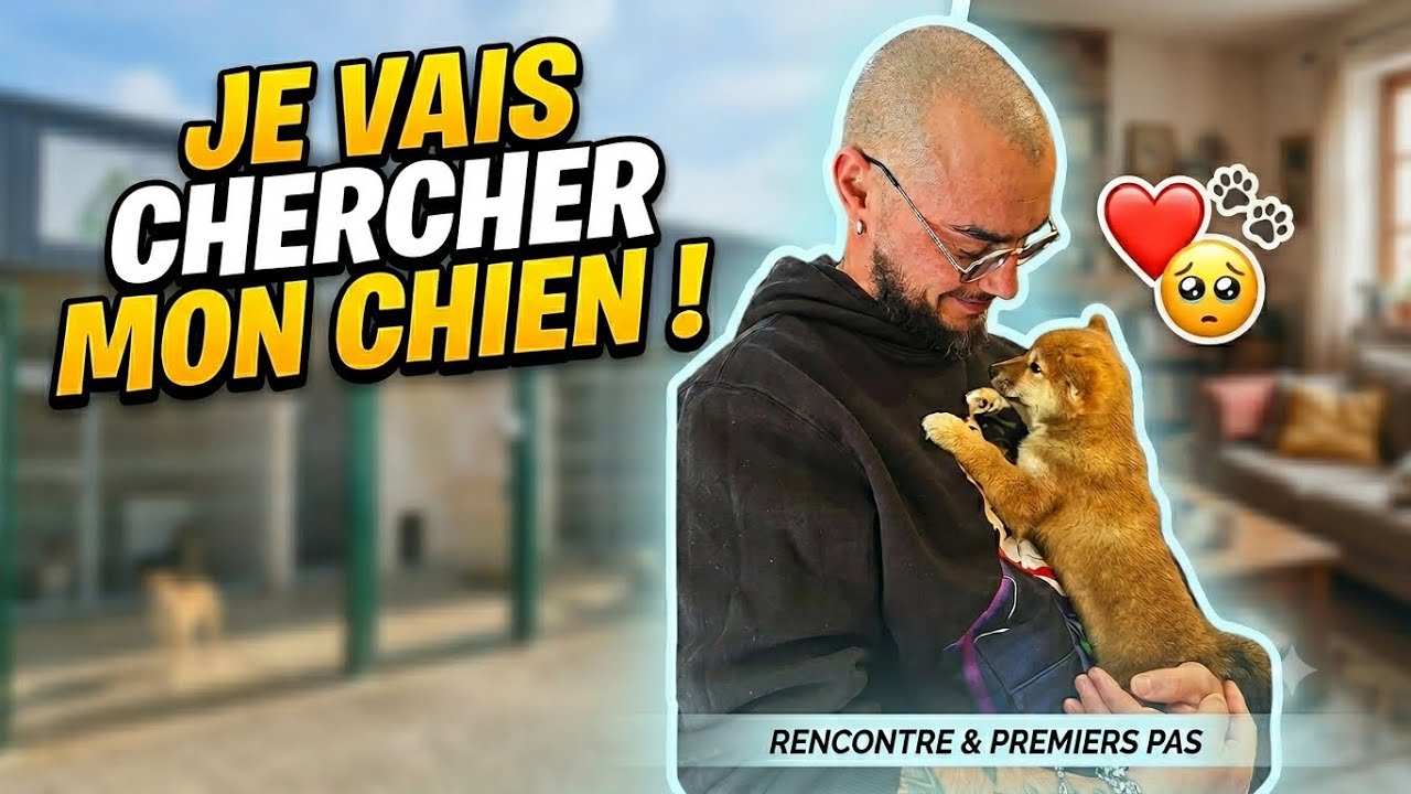 #VLOG JE VAIS CHERCHER MON CHIEN