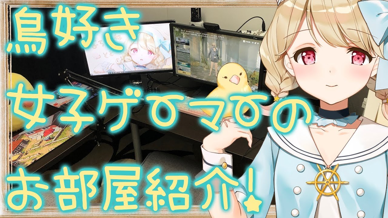 【カメラ映像】鳥好き女子ゲーマーのお部屋紹介！【Vtuber】