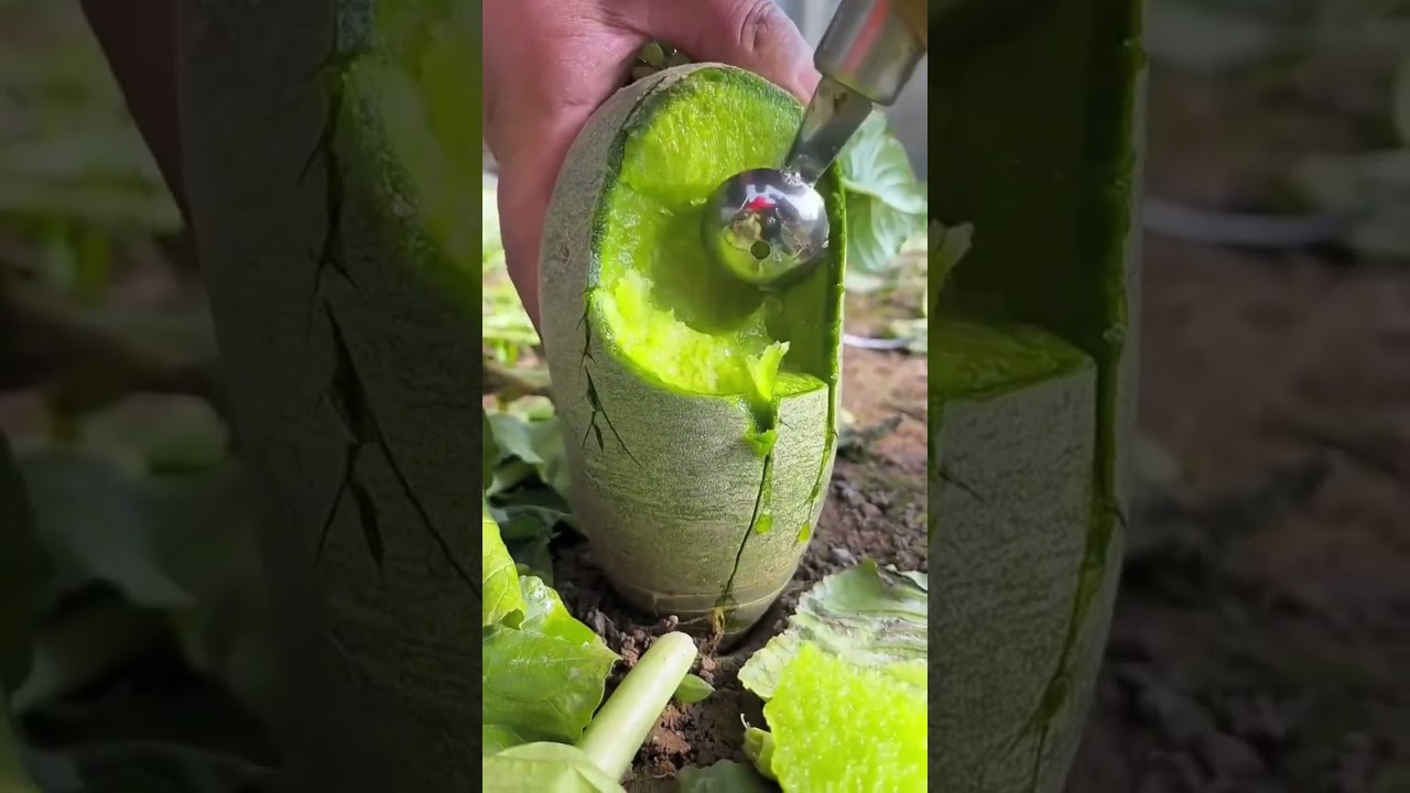 suaranya candu #fruit #satisfying #satisfyingvideo #viral #food #shorts #short #shortvideo