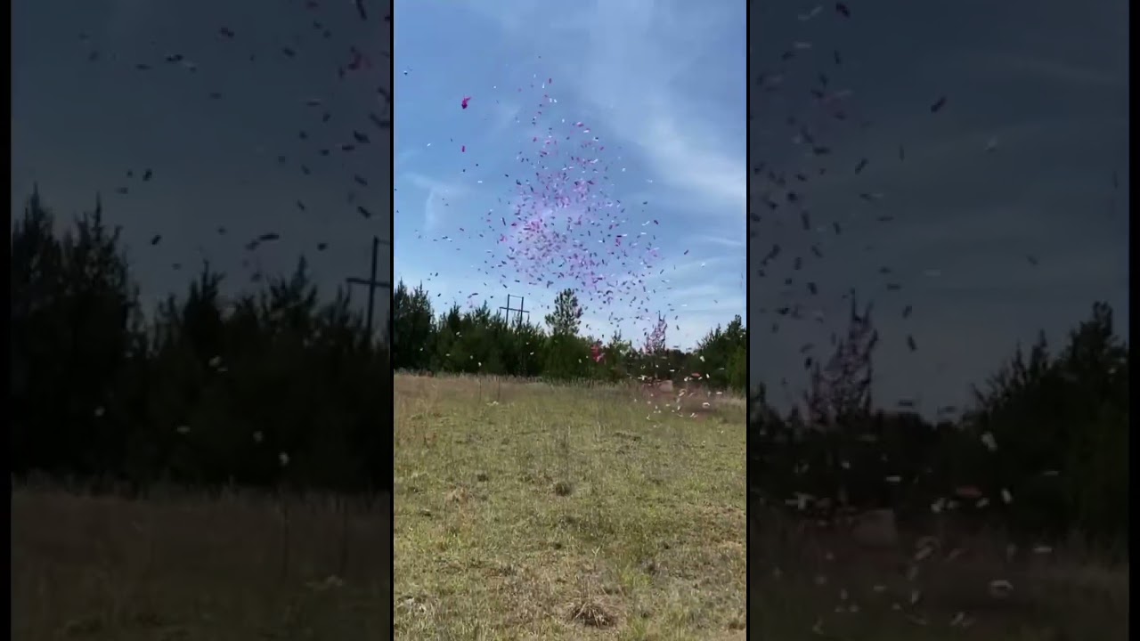 Gender Reveal Confetti Cannons - 12 inch Pink Confetti Cannons