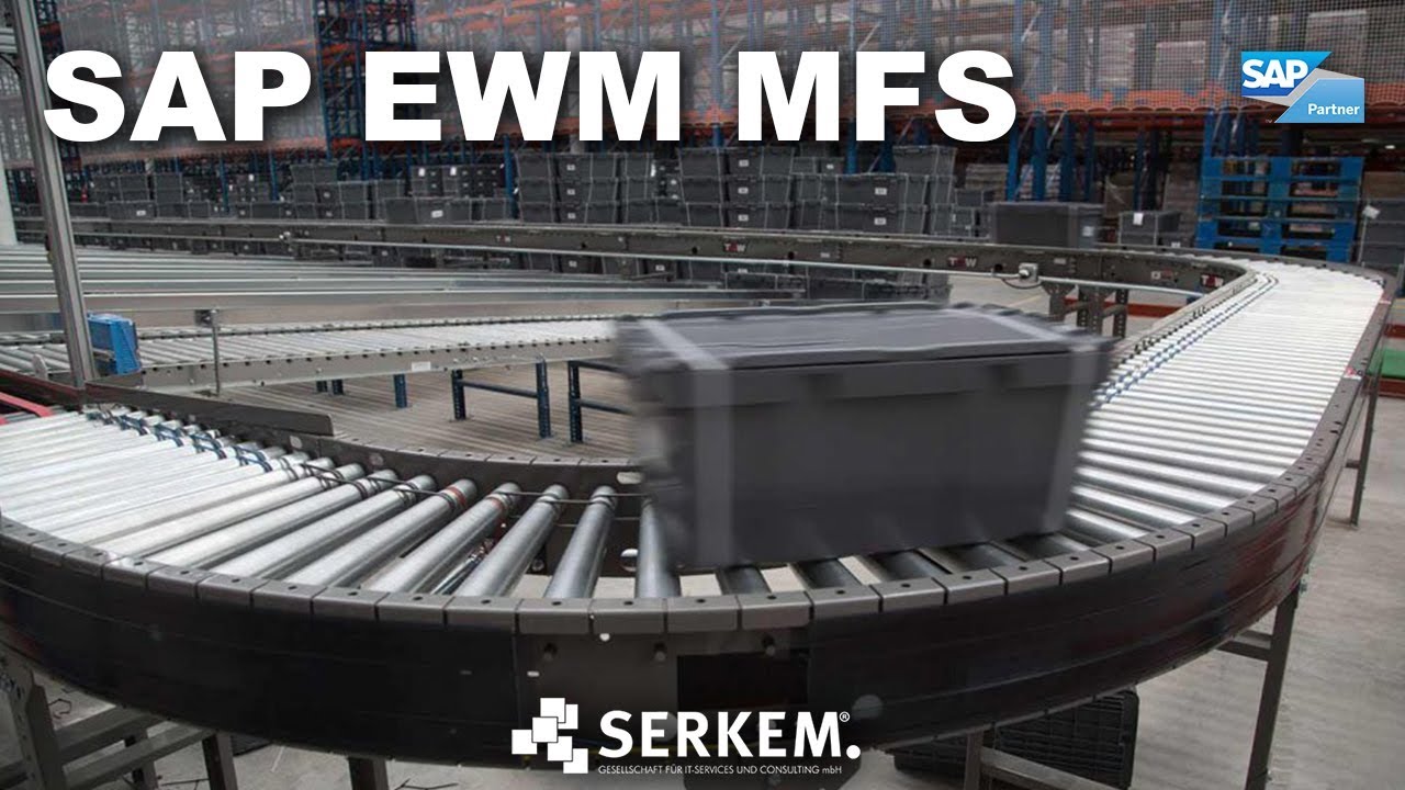 SERKEM - SAP EWM MFS (Materialflusssteuerung)