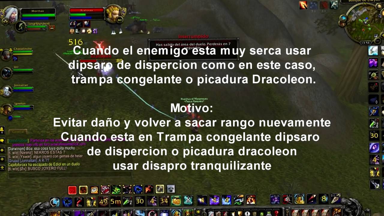 Miniguia de dueleo | Cazador vs Paldin | 3.3.5
