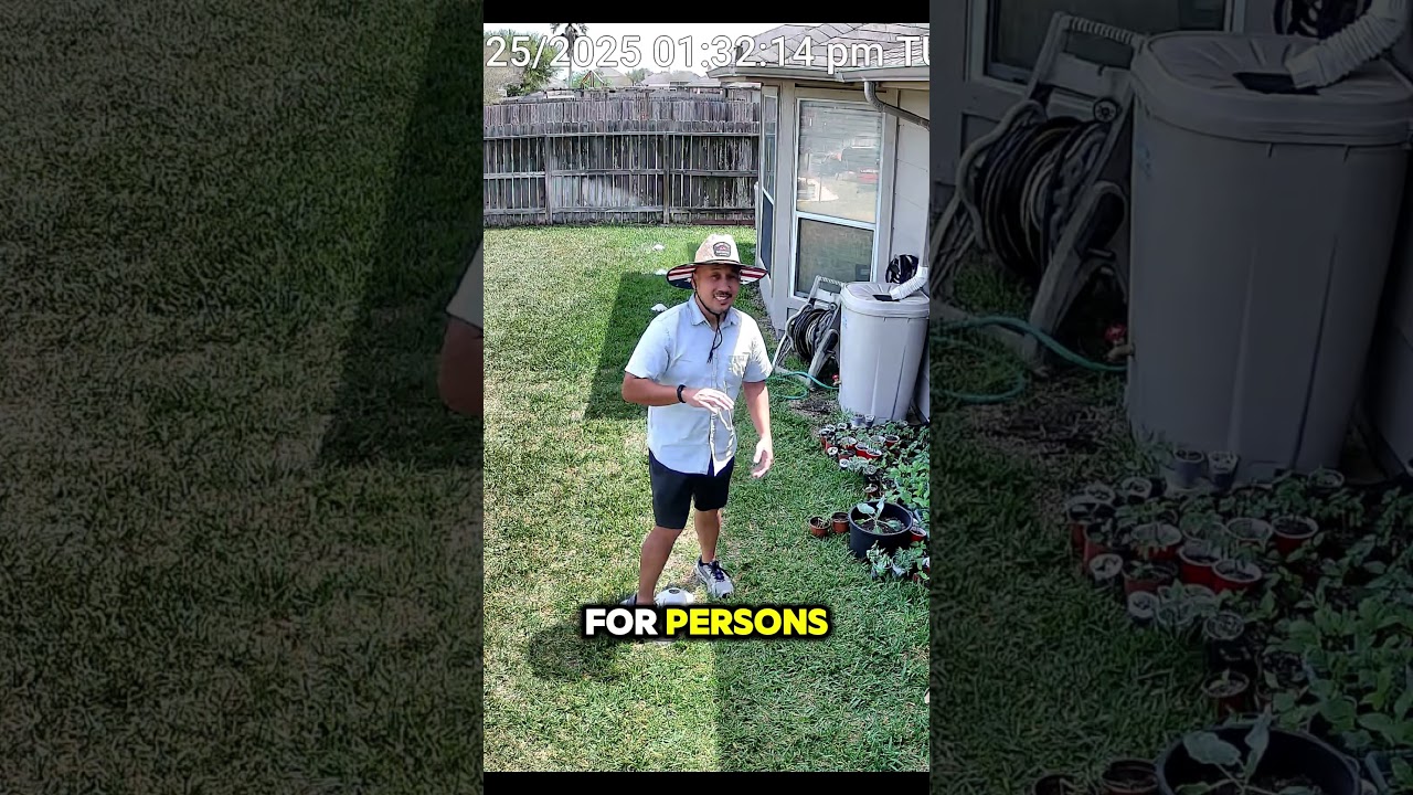 An Underrated WIFI Security Camera - Reolink Lumus PRO