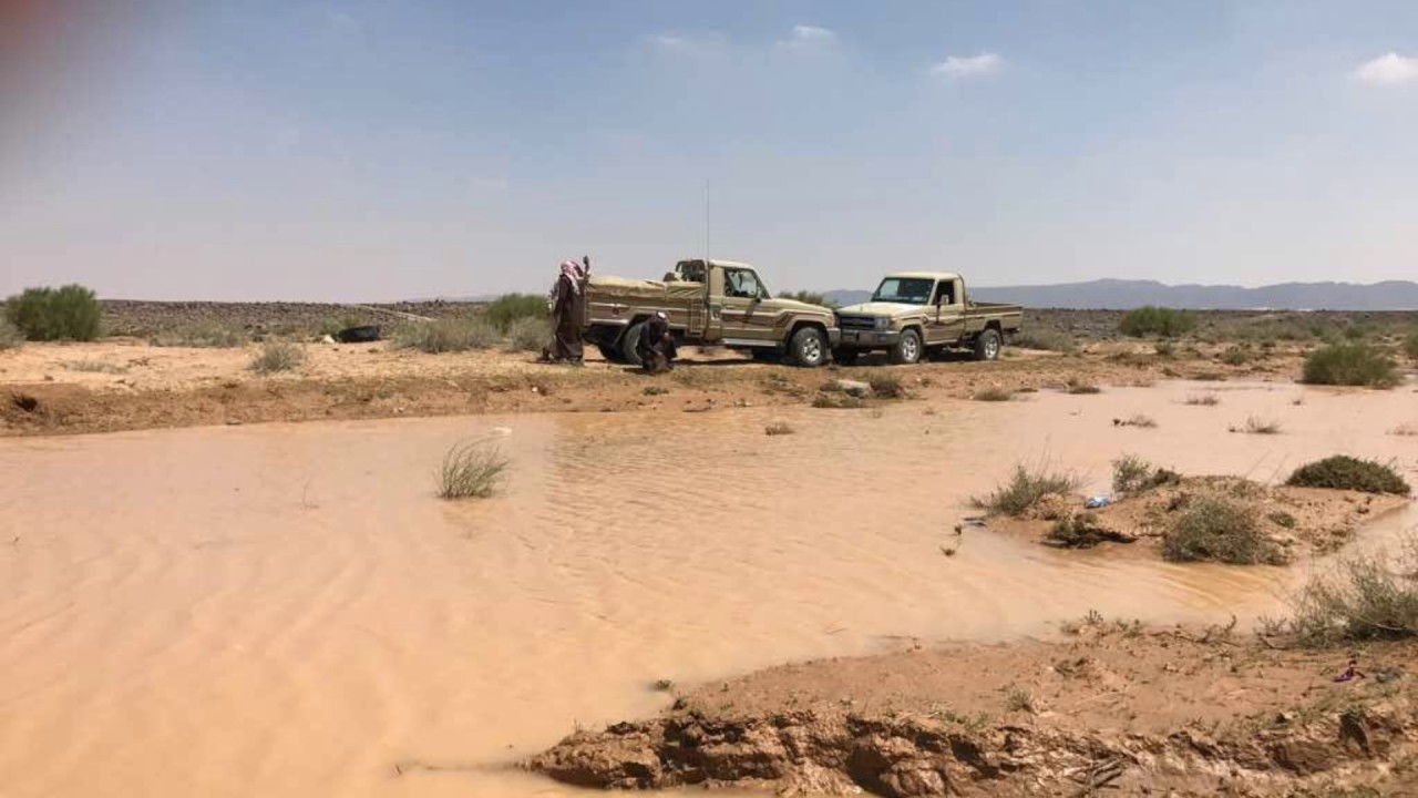 الشاعر/ نافع حجير الدغيشم ||والشاعر/ لافي بن سنام