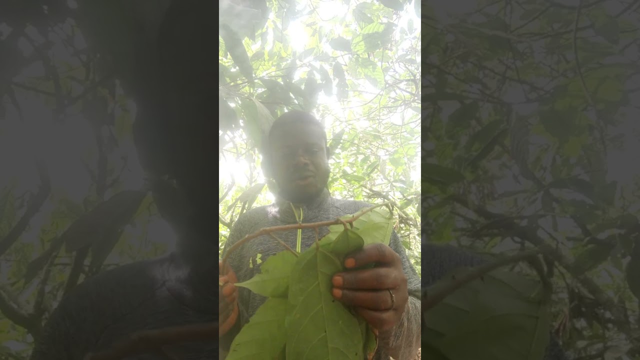 this is the holy spiritual man in Ghana the grand master follow this man he will change your life