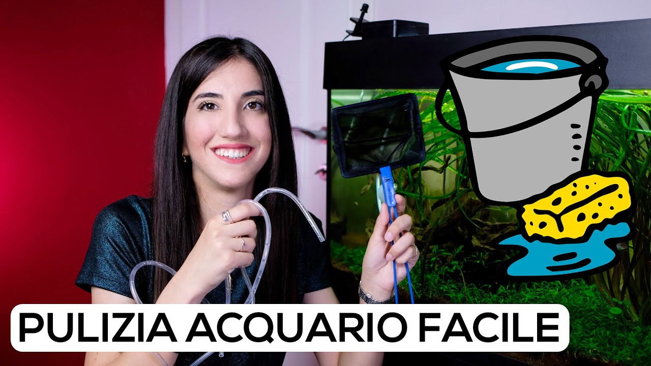 COME sifonare l'ACQUARIO senza fare un CAMBIO d'ACQUA
