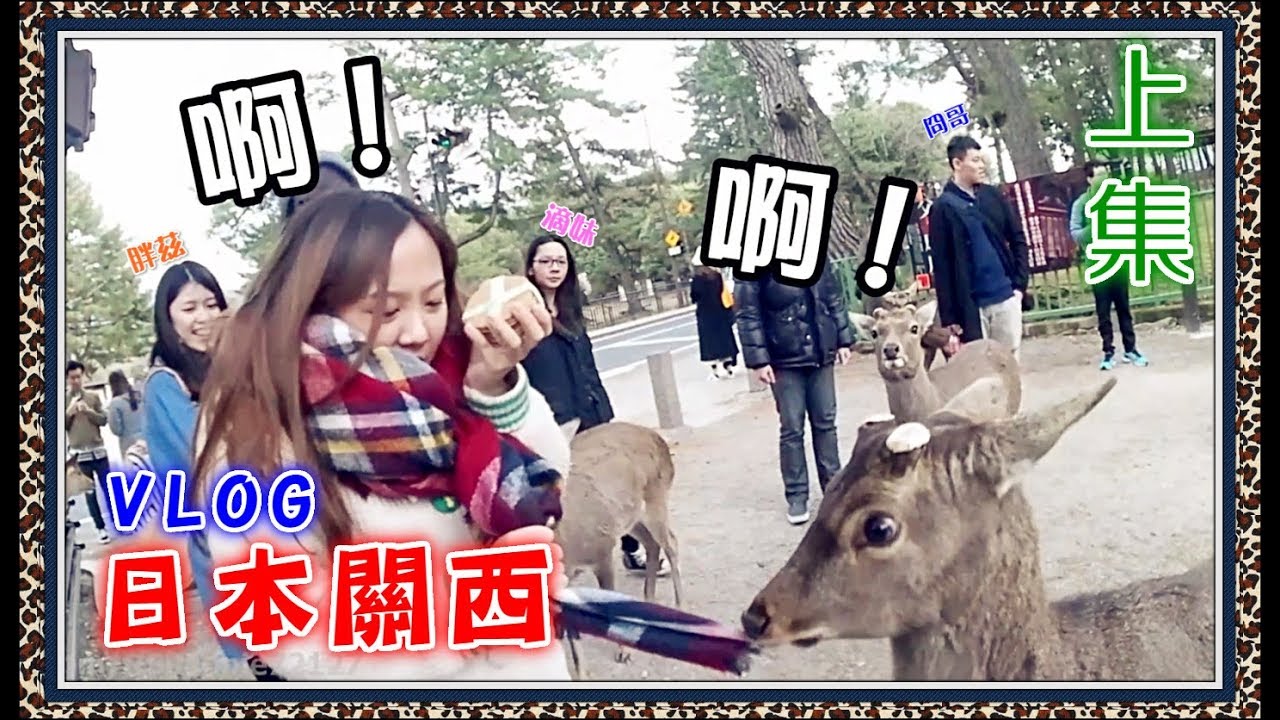 【魚乾】關西八俠★日本VLOG [上] - 摸貓咪、被鹿追、採草莓！ (With. 菜喳、滴妹、阿晋、羅伊、胖茲、浮千、冏哥)