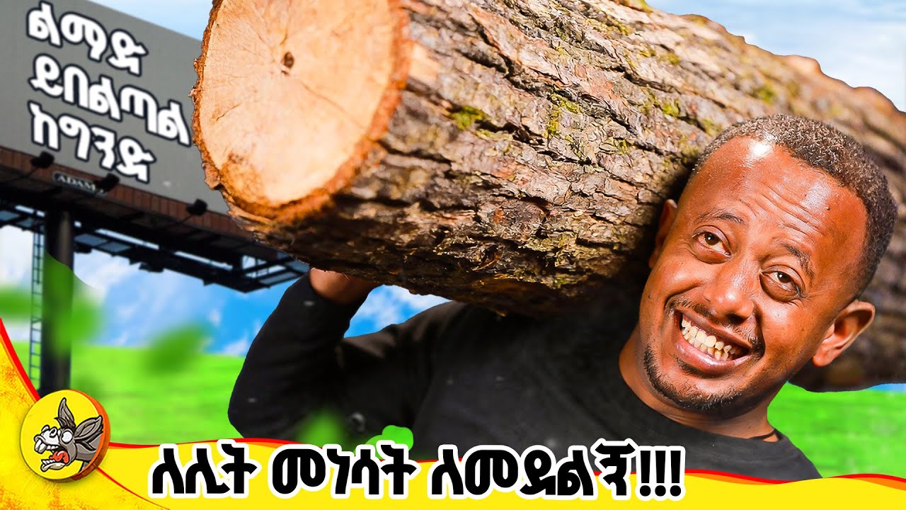 ያስቸገራችሁን ልማድ እንዲህ ቀይሩት !! በቀላሉ ያለ ትግል!!#comedianeshetu #donkeyyoutube #smallstepstosuccess