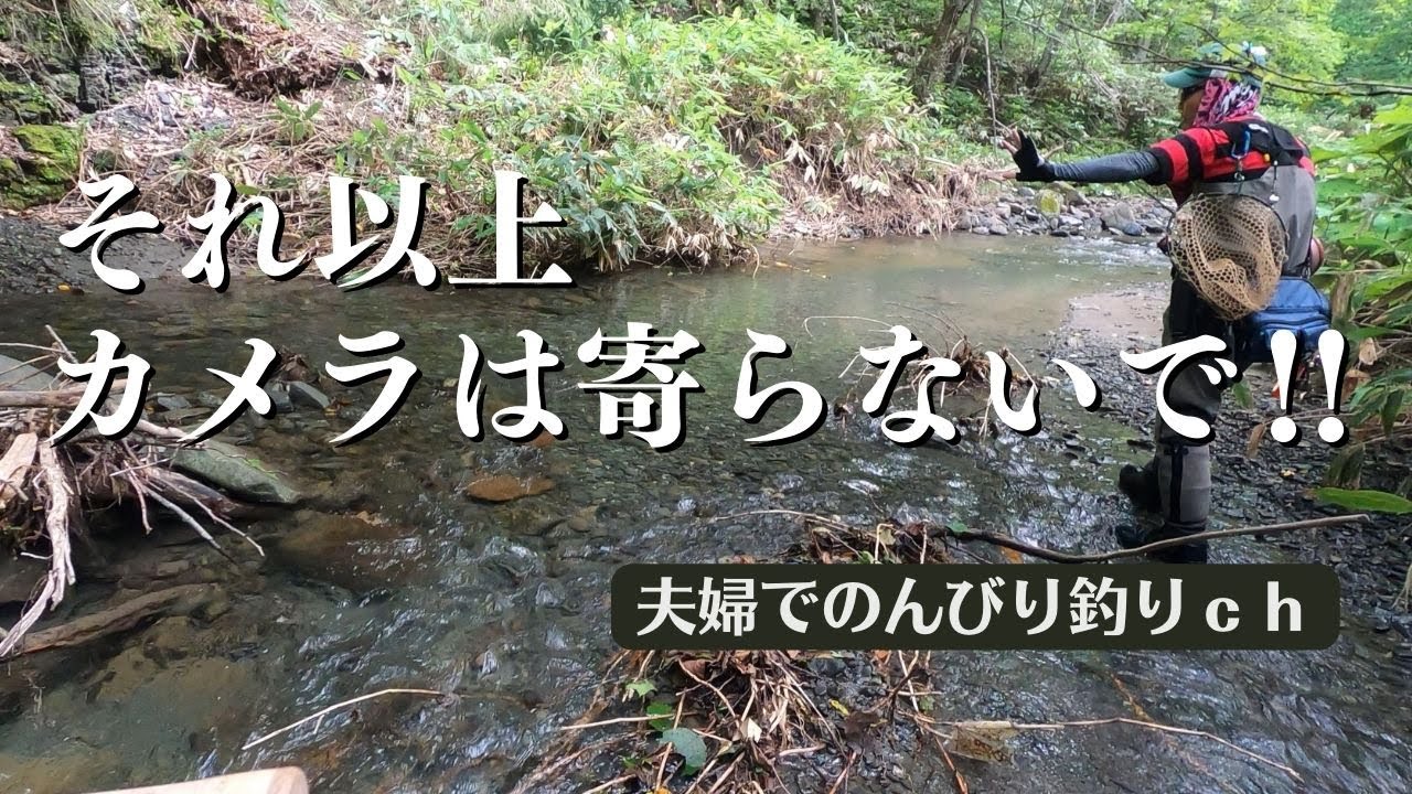 何があった？ ？