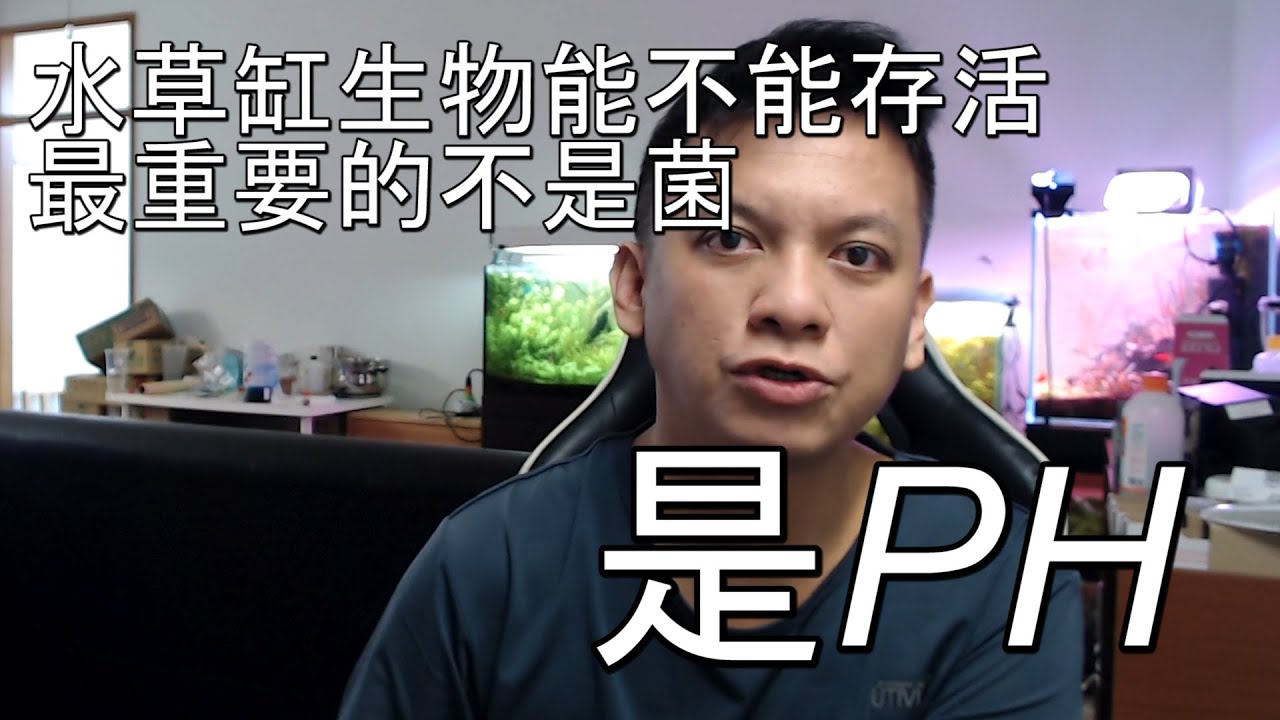 水草新手篇21~深入分析氨~銨~PH~硝化菌他們之間的關聯